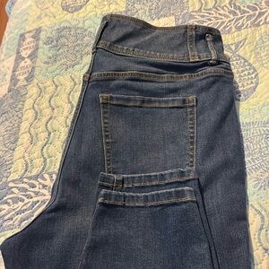 Lane Bryant Jeans